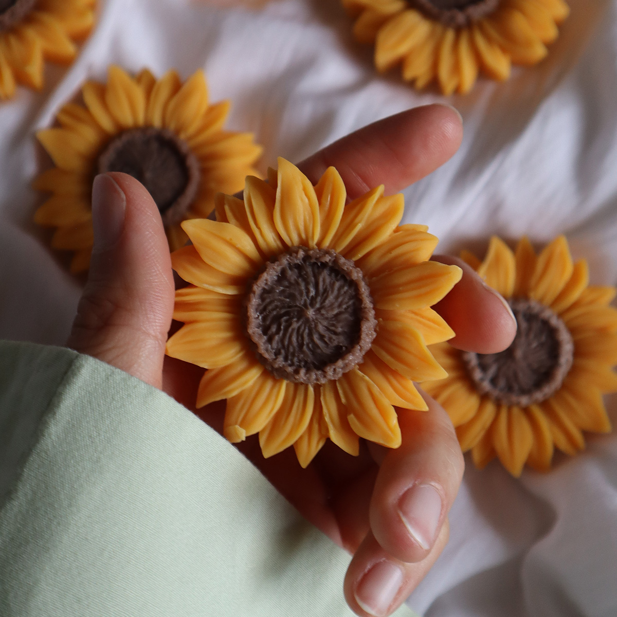Candelina Girasole