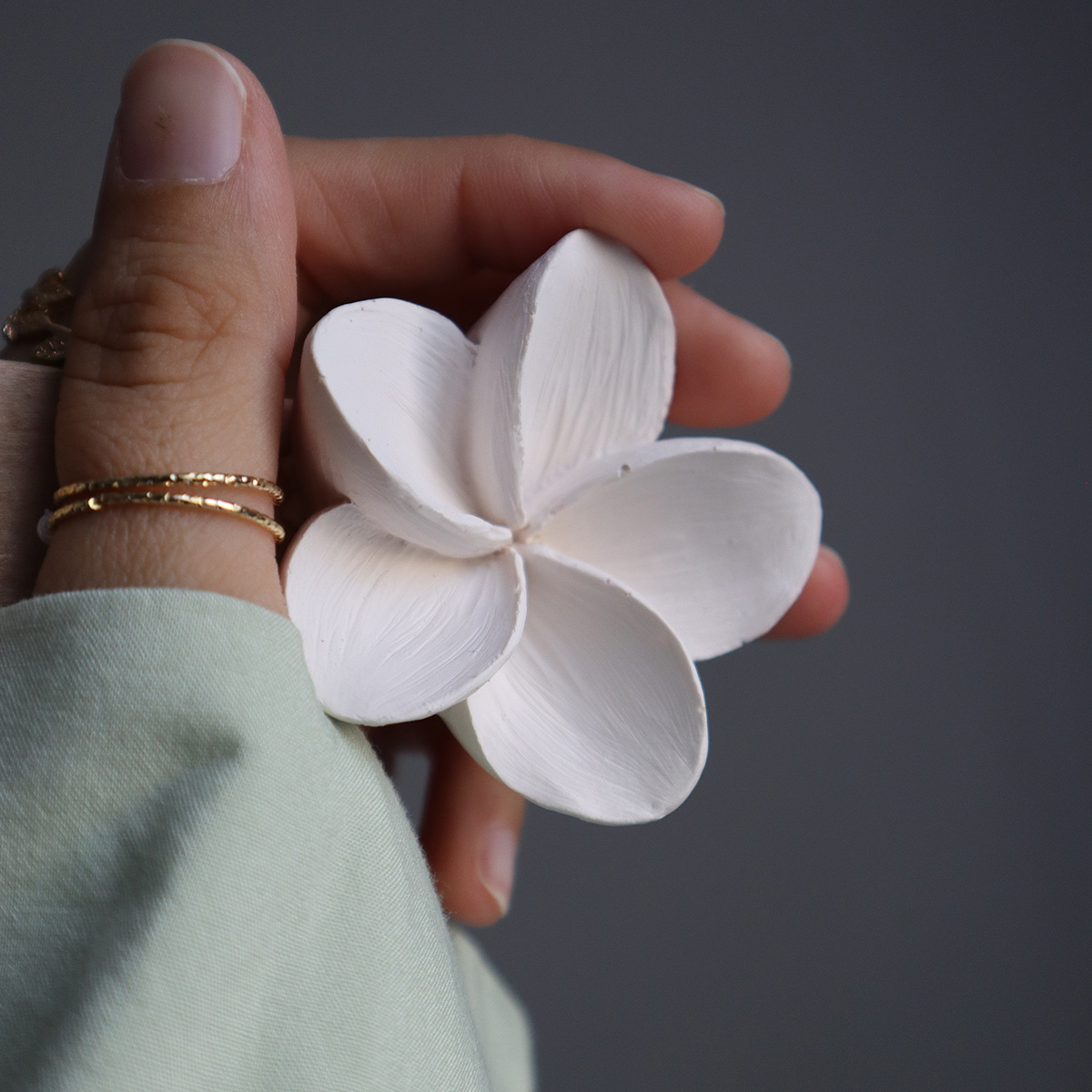 Crisalide calamita fiori frangipani