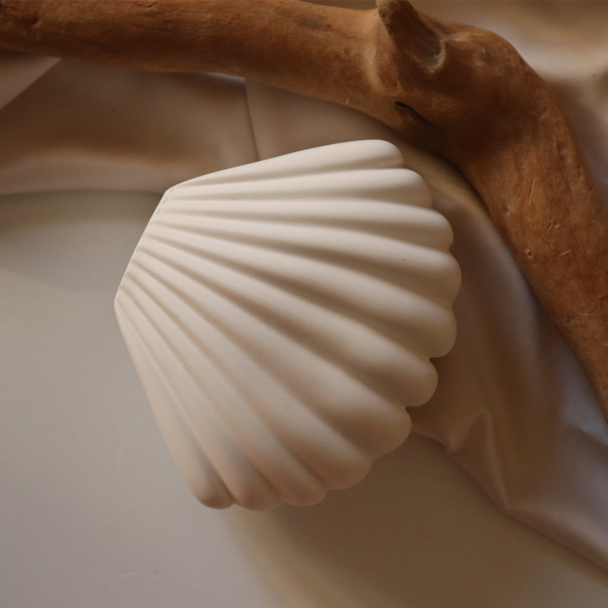 Vaso in resina conchiglia Shell Crisalide