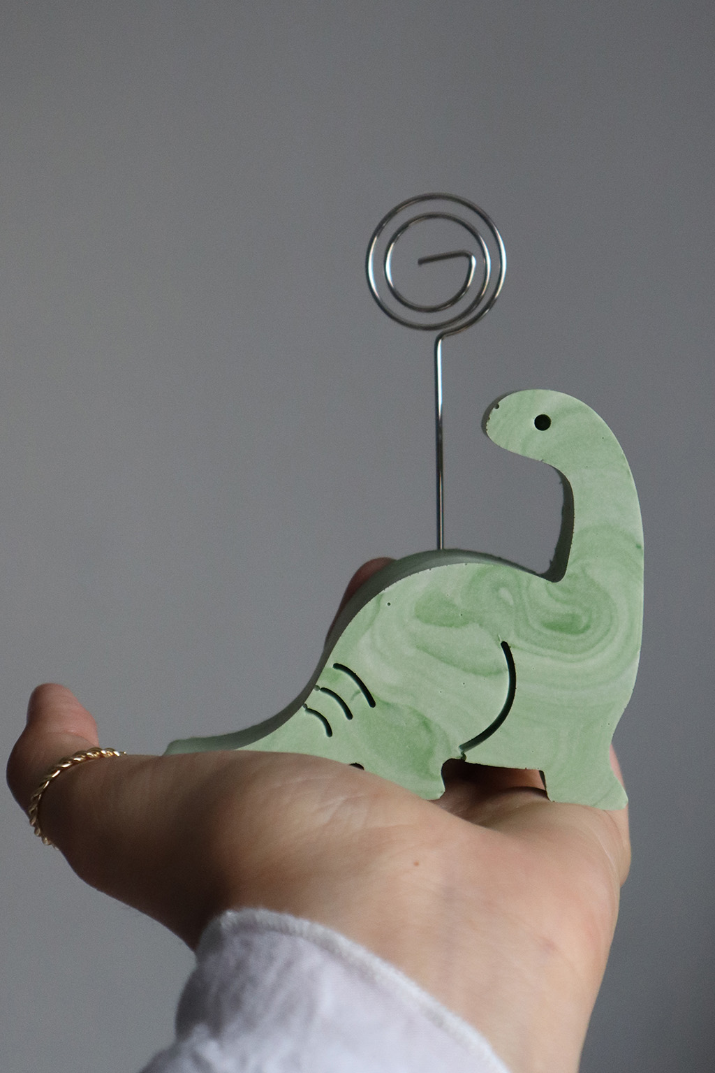 Dinosauro Sauro portafoto Crisalide