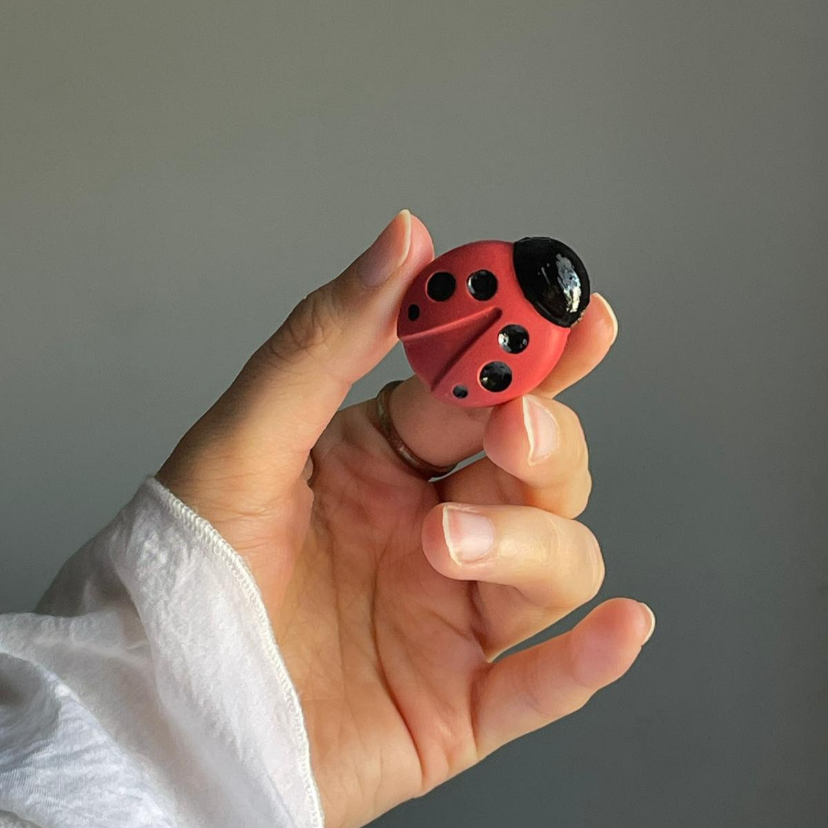 Crisalide Calamita mini coccinella