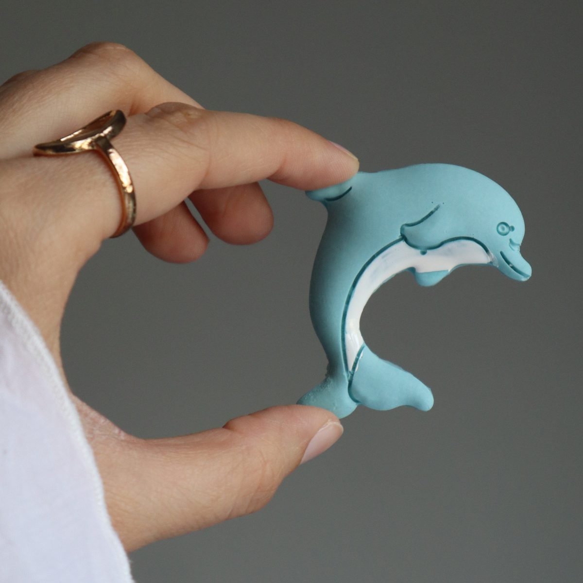 Crisalide Calamita mini delfino