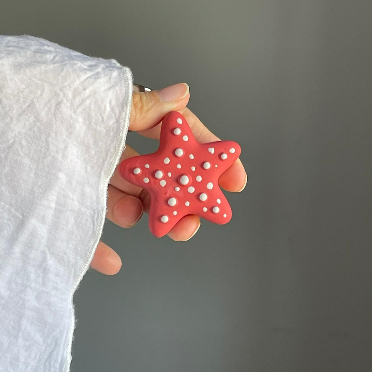 Crisalide Calamita mini stella marina 1