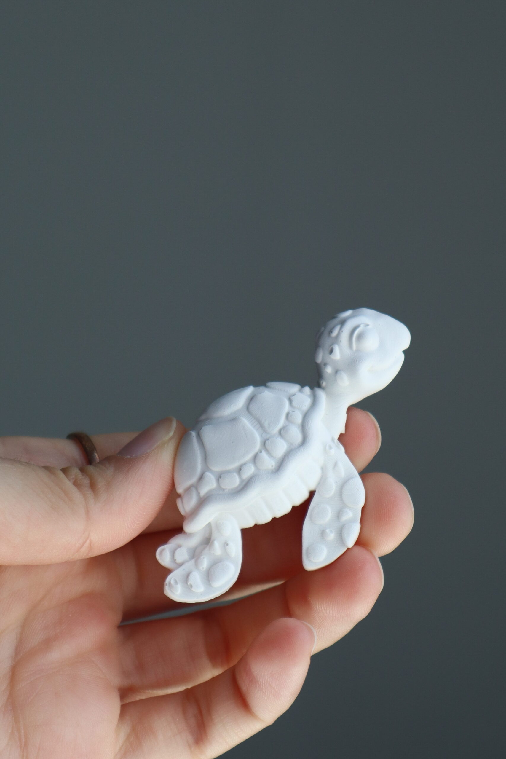 Crisalide Calamita mini tartaruga 3